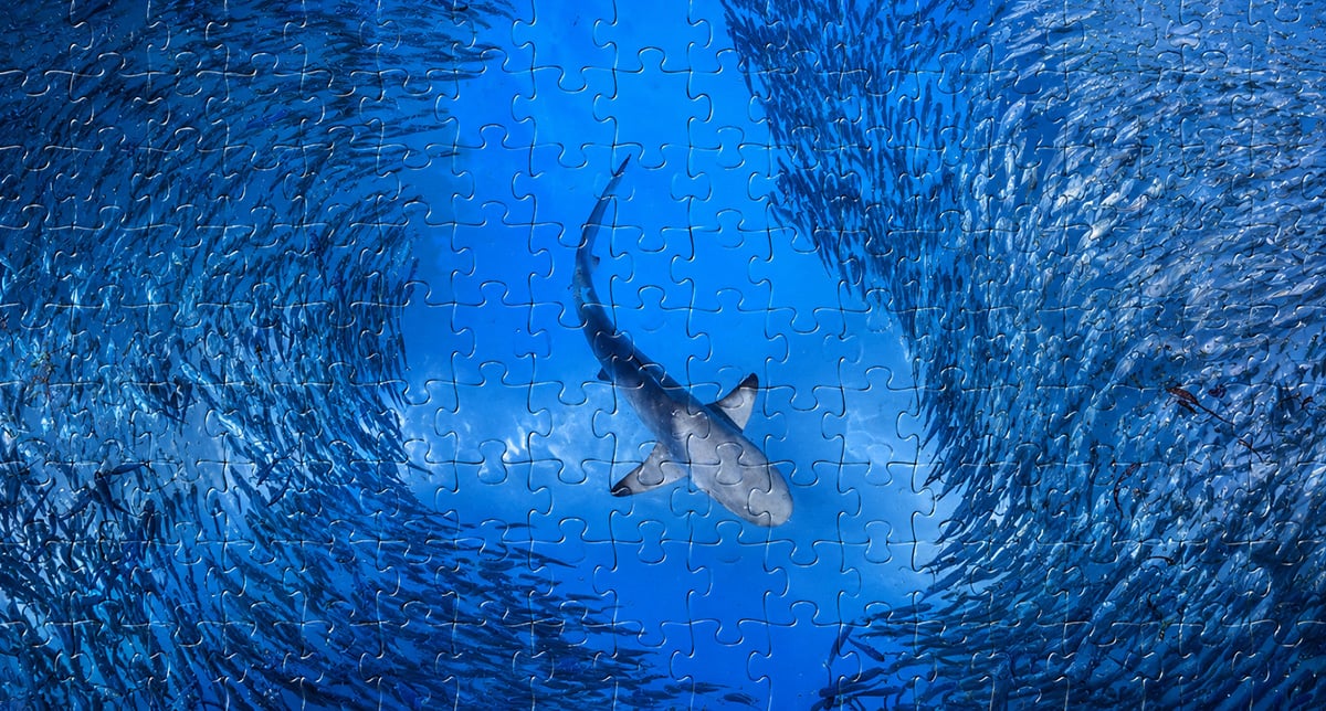 Optimising in a complex world